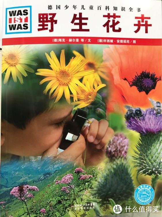 看我怎么成功引导不爱看书的孩子!0-2岁启蒙英语书单分享