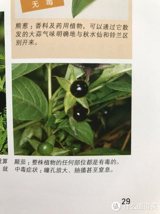 看我怎么成功引导不爱看书的孩子！0-2岁启蒙英语书单分享