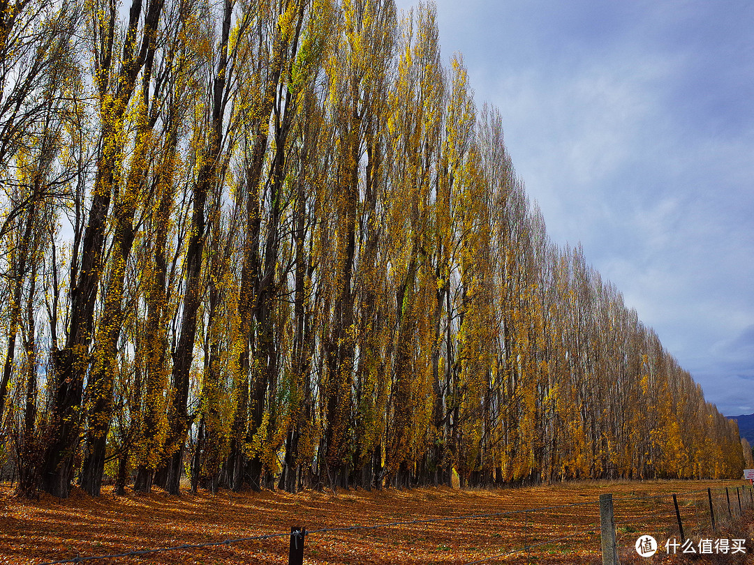 ArrowTown至Wanaka路上