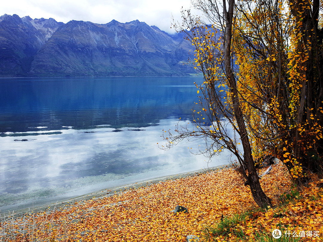 新西兰小半个南岛：Queenstown—Christchurch自驾之旅