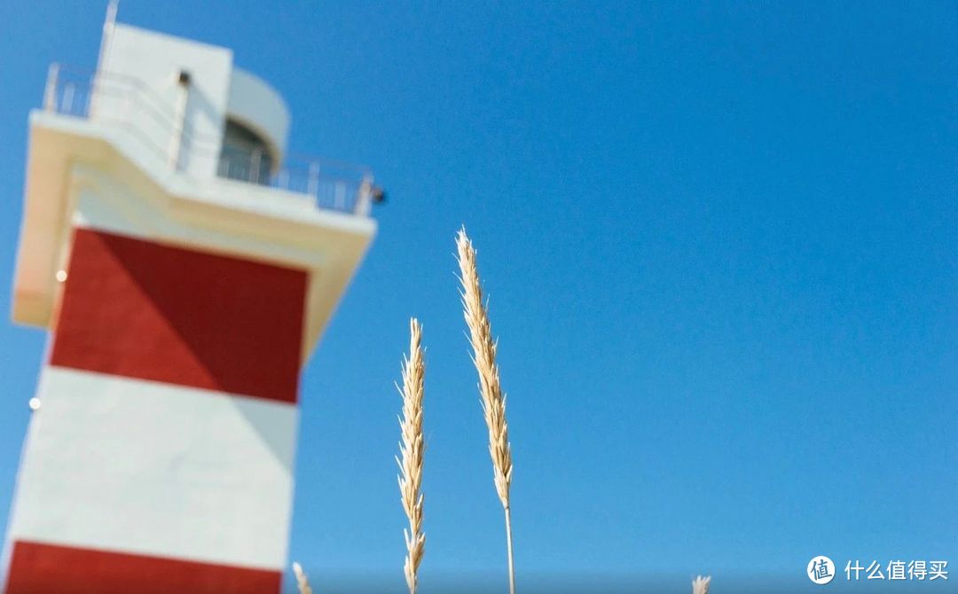 粉红花海，白色风车，全球最美的夏天可能只在北海道