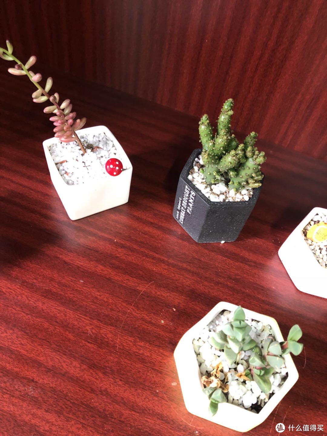 美女的办公室放哪些实用物件儿可以提升生活品质?