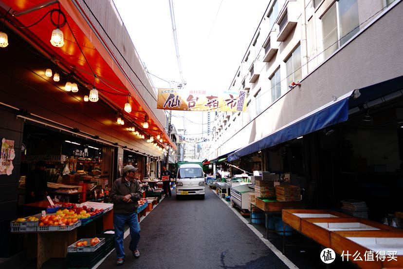 今年花开正春天：日本东北赏樱美食之旅