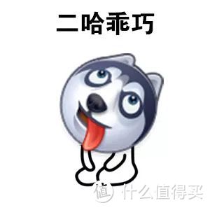 渡边直美:瘦≠美,大码女孩更加时髦可爱!
