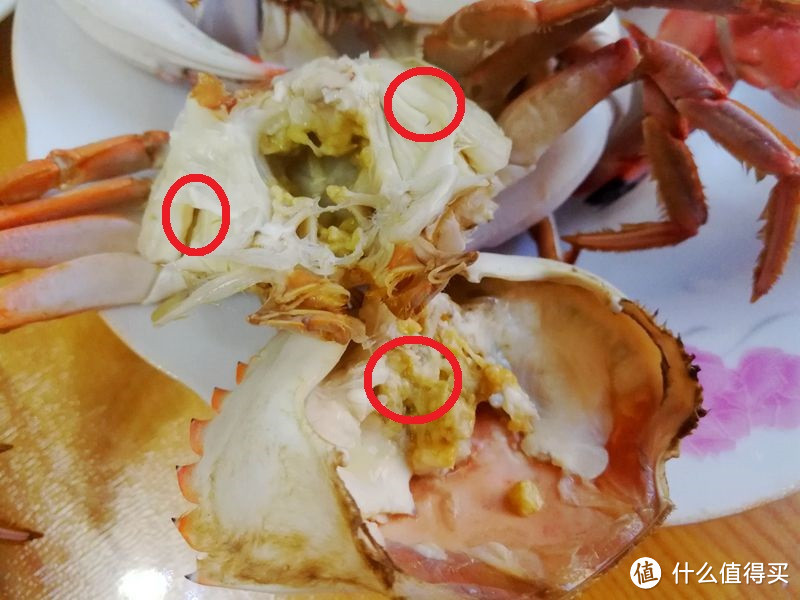 最细缚绳娘！螃蟹如何挑如何吃最能挑逗味蕾？
