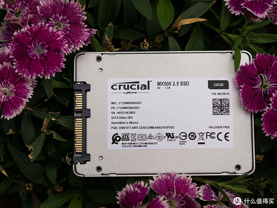 保五年，快上车：英睿达 Crucial MX500 250G固态硬盘上手评测