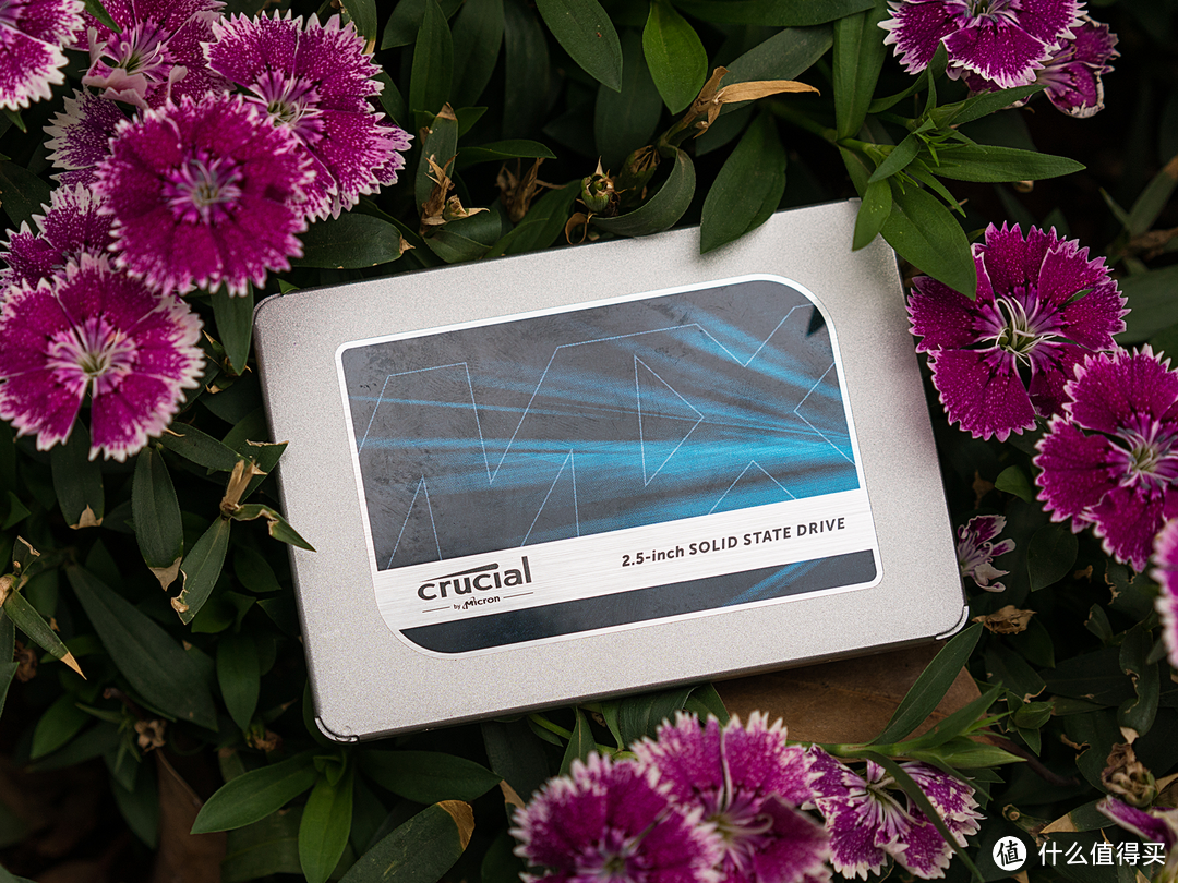 保五年，快上车：英睿达 Crucial MX500 250G固态硬盘上手评测