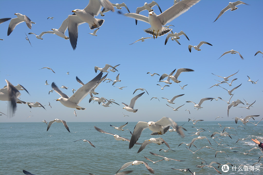 中国十大美丽海岛山东长岛3天2晚宽松拖拉自由行