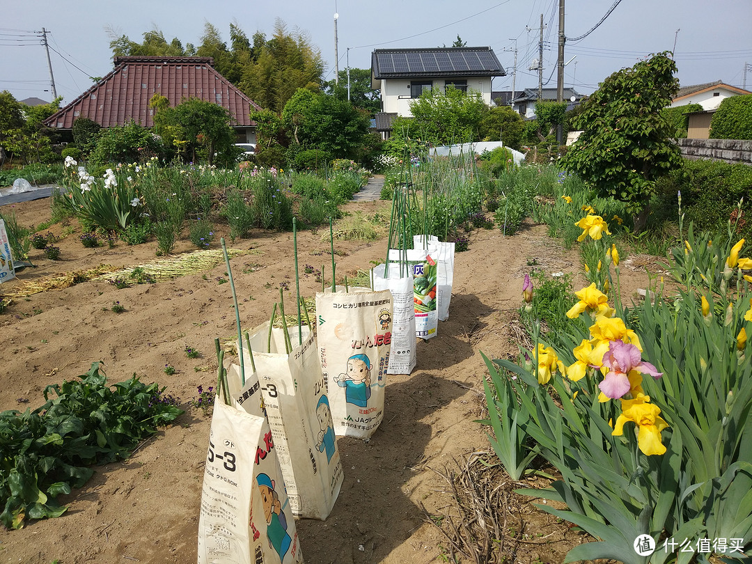 探访日本农业实践学园