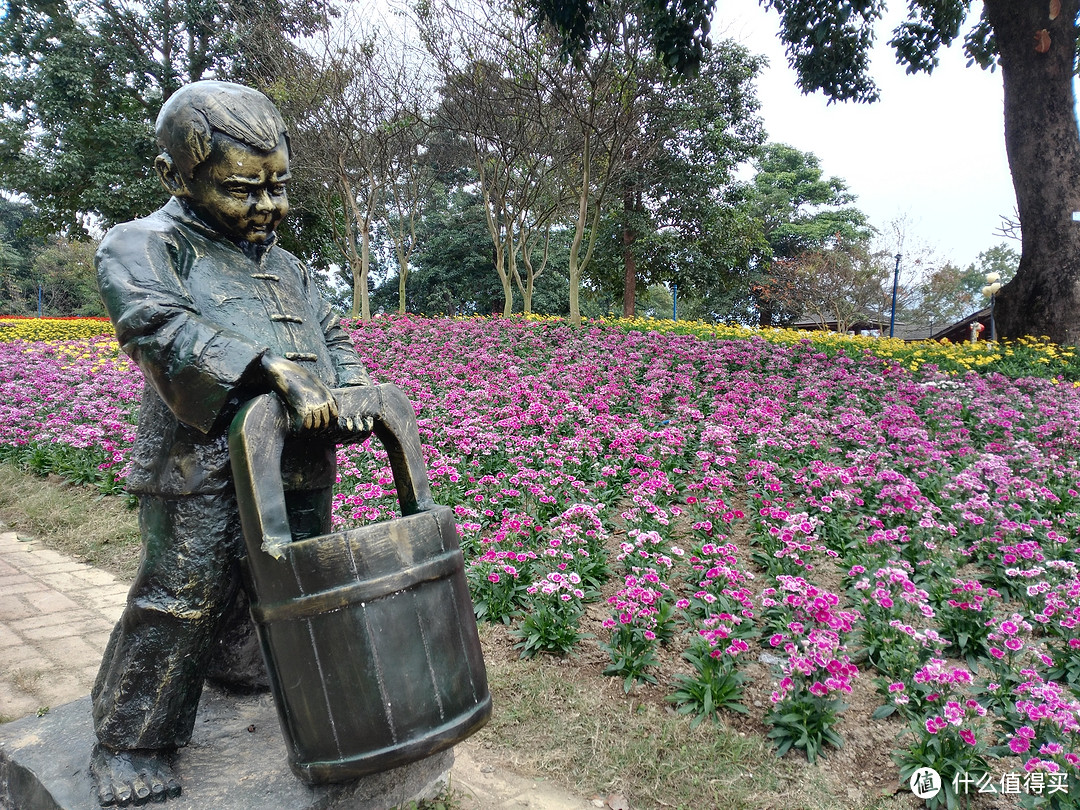 从化纵行，从城区化小镇