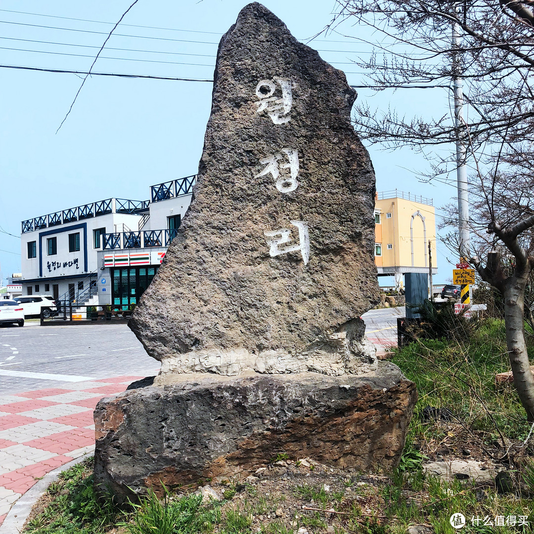 赏樱？不只有日本才可以—济州岛纯玩赏樱7日自由行