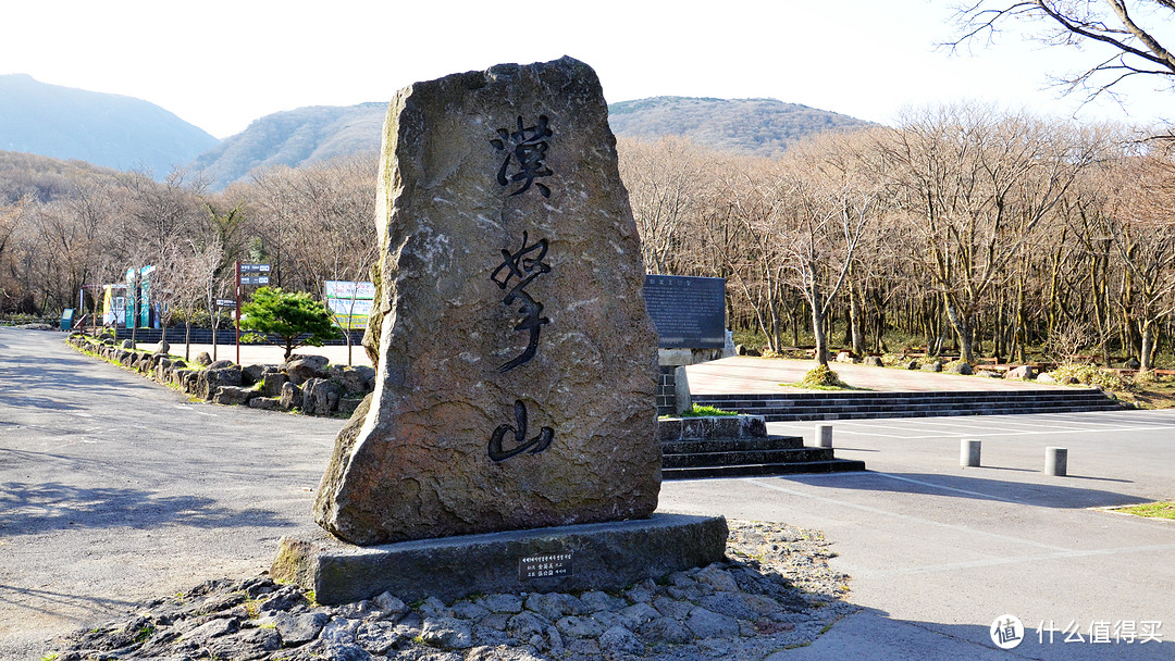 赏樱？不只有日本才可以—济州岛纯玩赏樱7日自由行