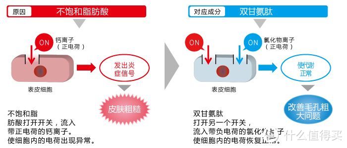 图片里氯化物离子下面应该是负电荷