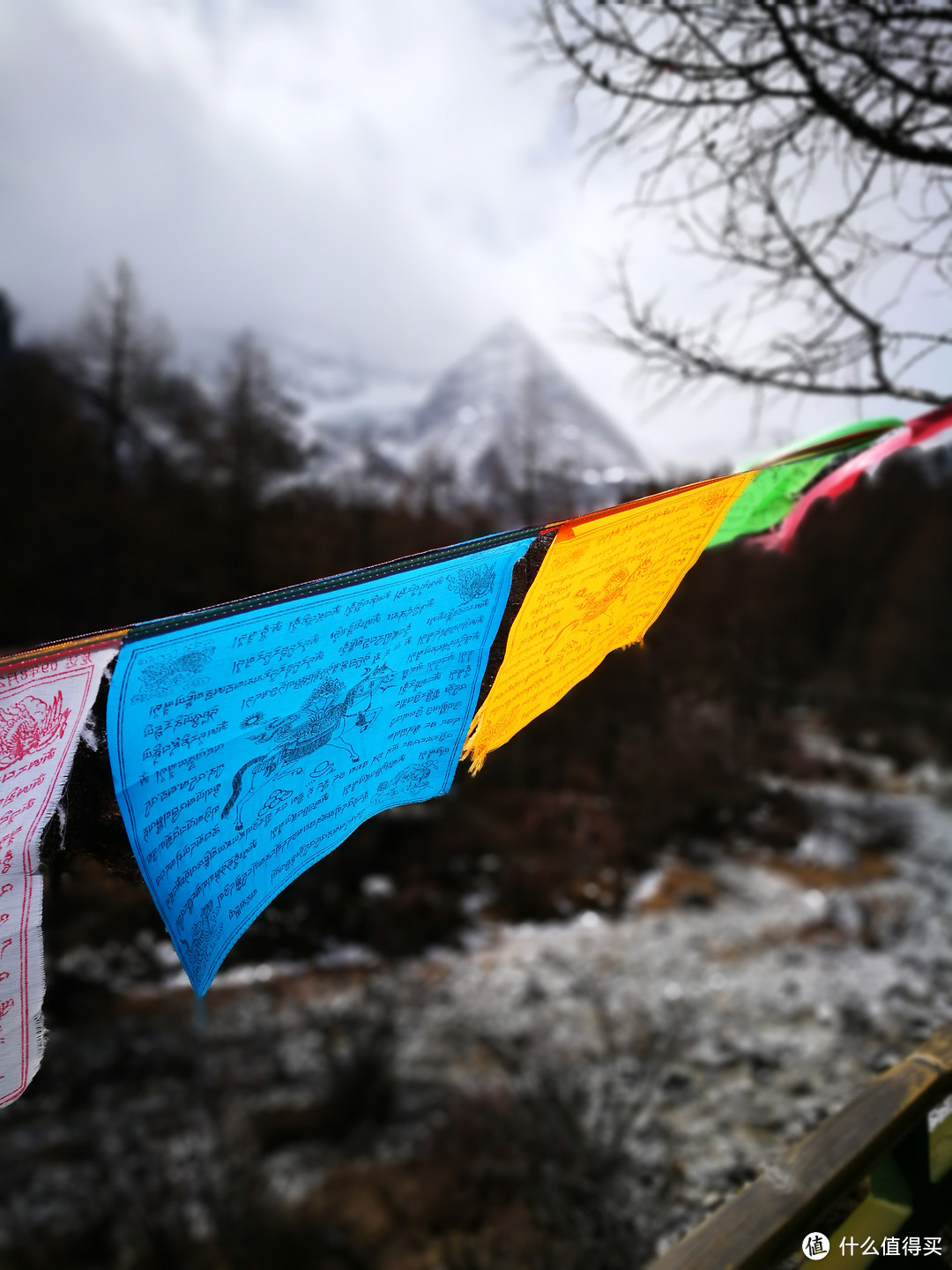 以梦为马，魂牵稻城，记一趟纪念爱情的旅程