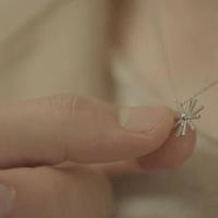 嘉饰缇娜 皇冠系列 925银项链外观说明(吊牌|吊坠|logo|孔位)