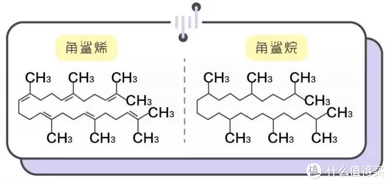 角鲨烷的好，你竟然还不知道？