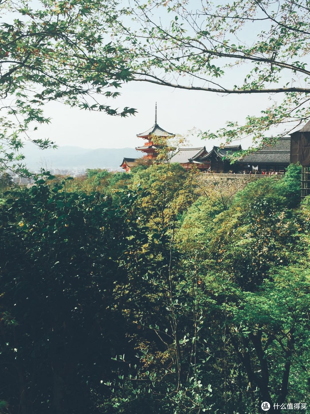 逛吃逛吃逛买逛吃，我的关西七天赏樱之旅记录