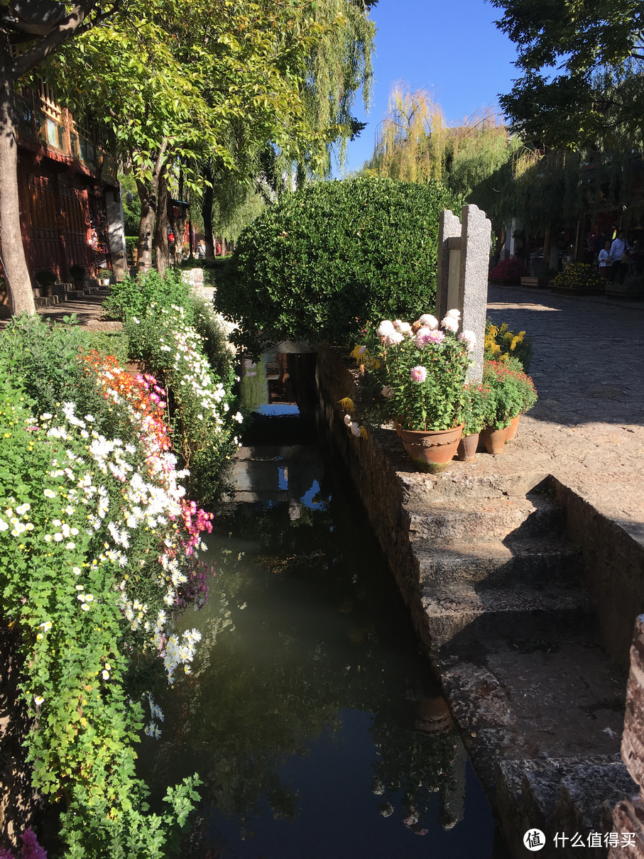 左手古城，右手雪山，坐拥世界文化遗产之所——丽江金茂君悦酒店入住体验