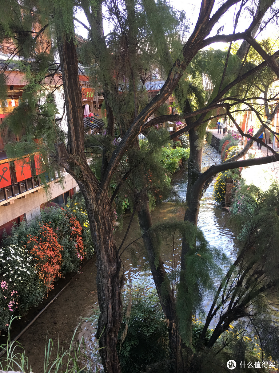 左手古城，右手雪山，坐拥世界文化遗产之所——丽江金茂君悦酒店入住体验