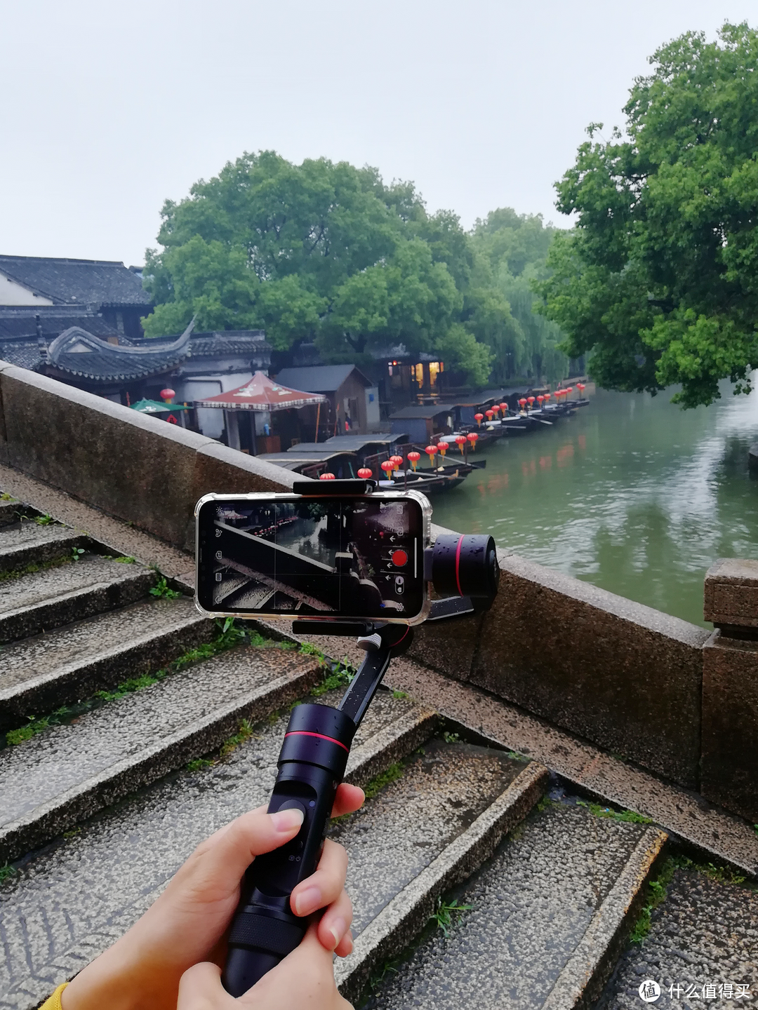 印象西塘：小楼一夜听春雨，深巷明朝卖杏花