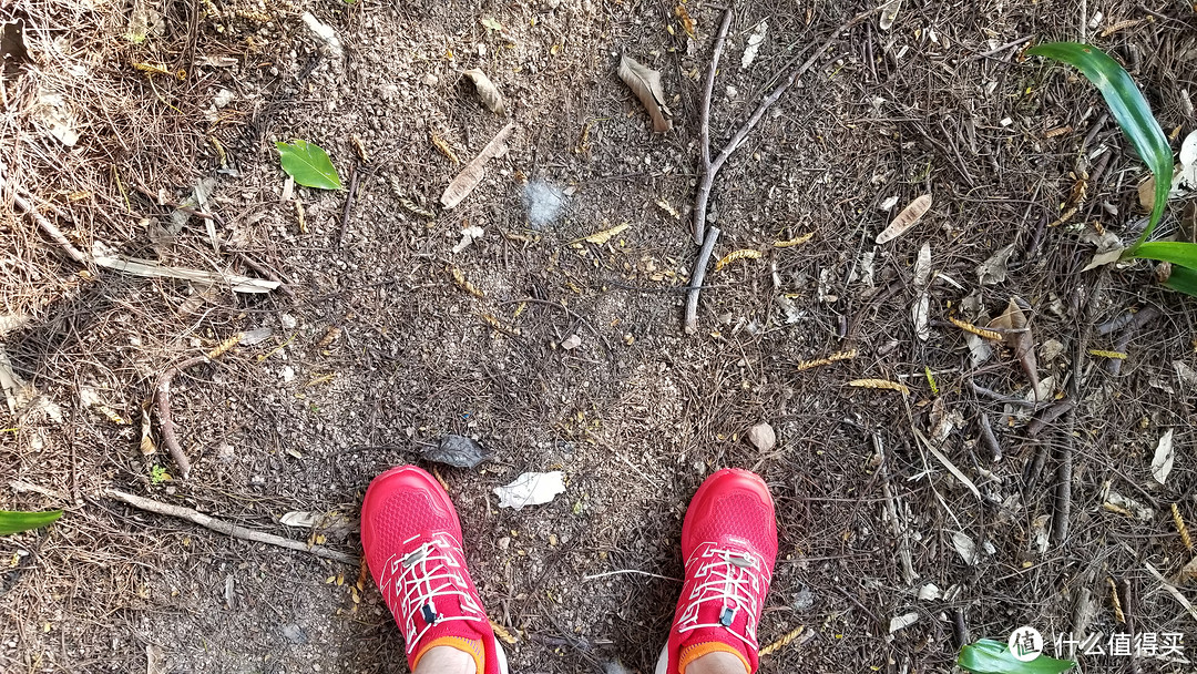 万叶丛中一点红 探路者大红PAO-F1越野跑鞋测评