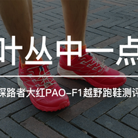 文章