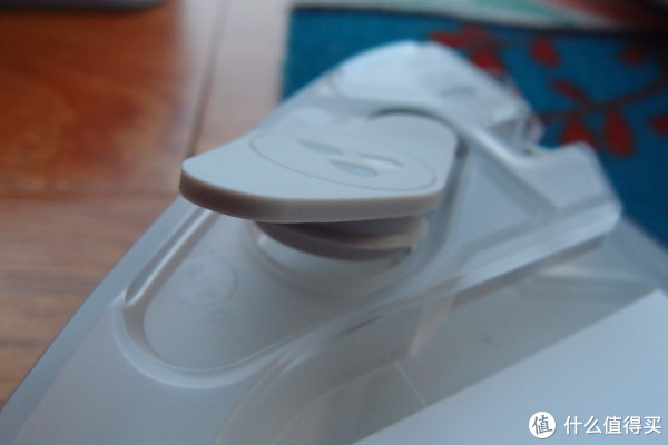 ʷϸʯͷ Roborock ʯͷ ɨػ