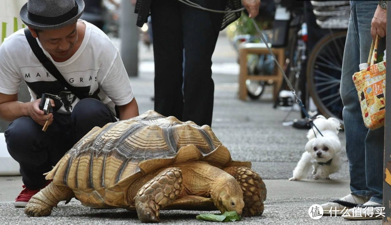 环游世界的旅行乌龟—Tortuga outbreaker旅行背包评测