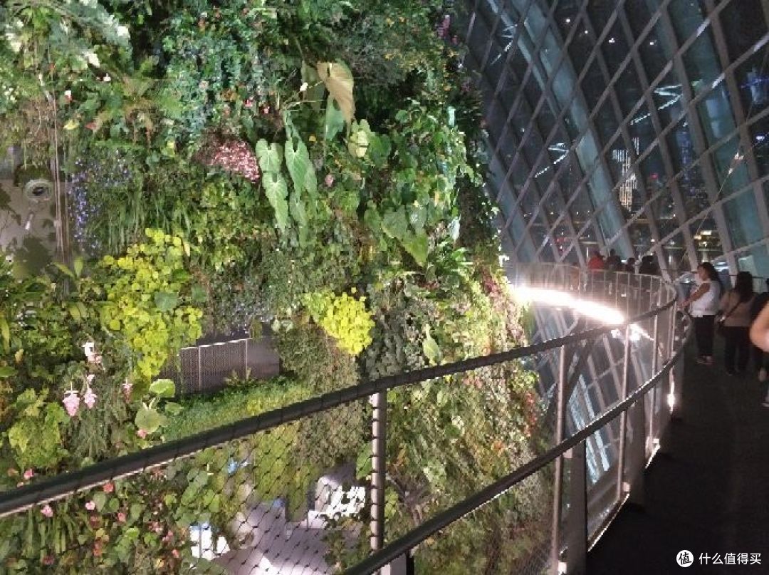 随走随记—我的新加坡九日游（Day 5）