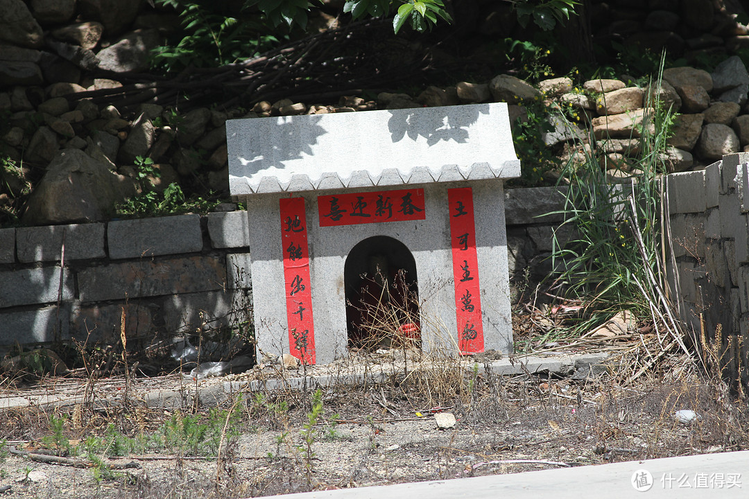 难得空闲，错峰近郊亲子游--赏月季，摘樱桃，识蜂蜜