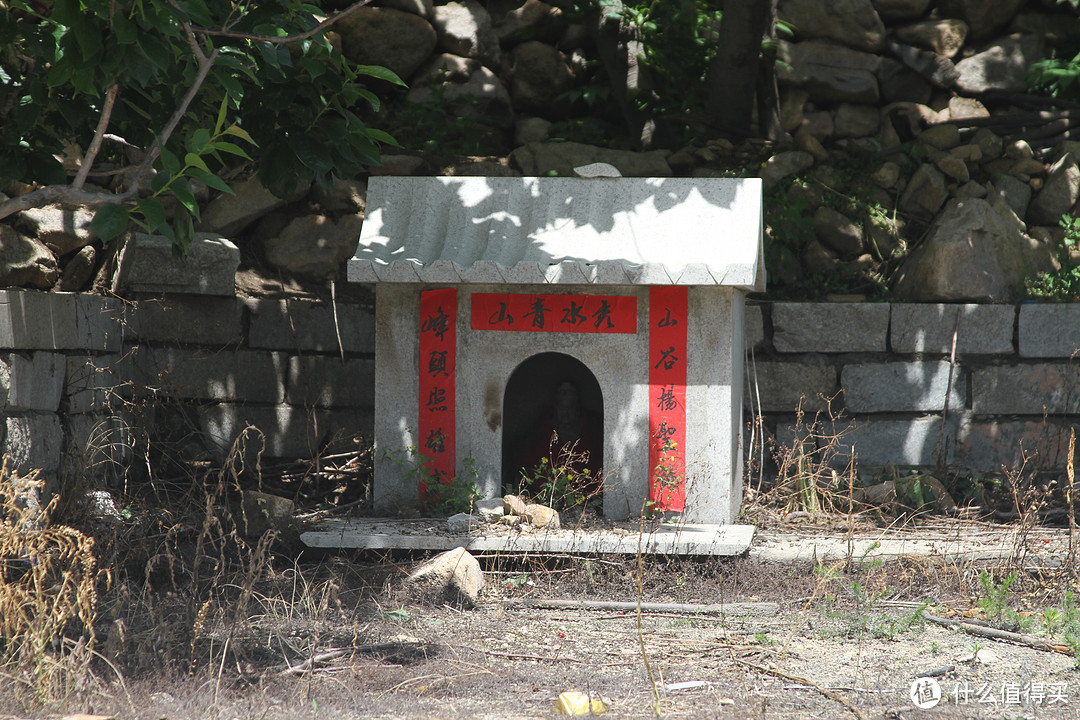 难得空闲，错峰近郊亲子游--赏月季，摘樱桃，识蜂蜜