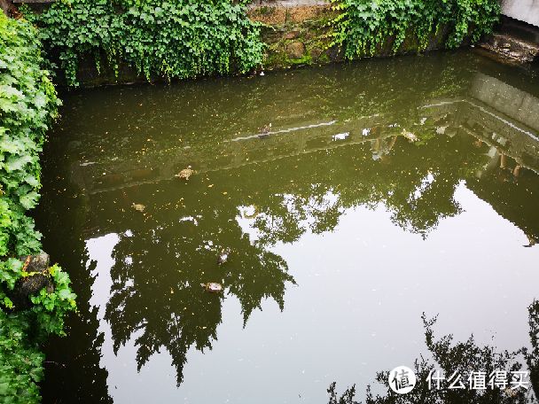 古韵灵岩山，雅致姑苏城—苏州半日游