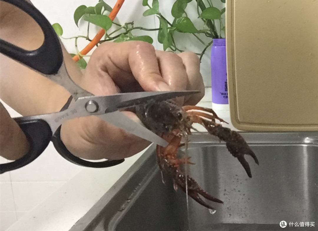 一包海底捞 轻松做出香辣小龙虾