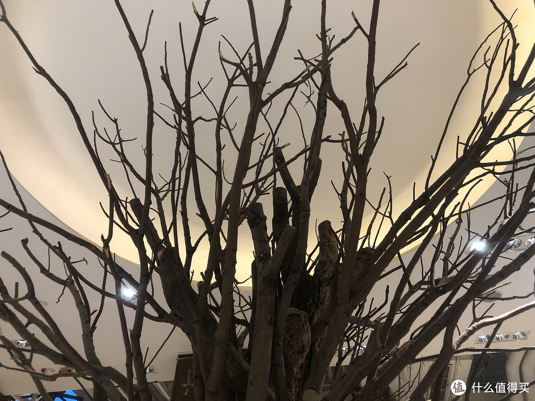 不是结束,而是一个新时代的开始——iPhone X上手体验