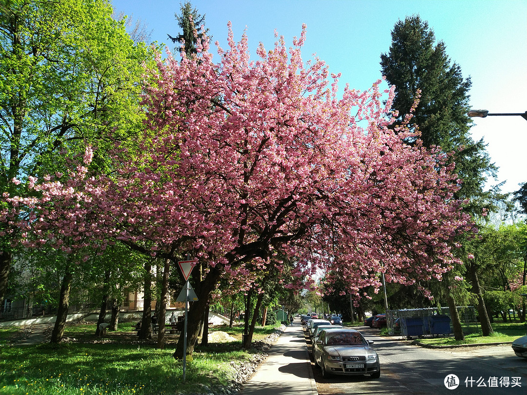 我在匈牙利搬砖，顺便分享美景（多图）