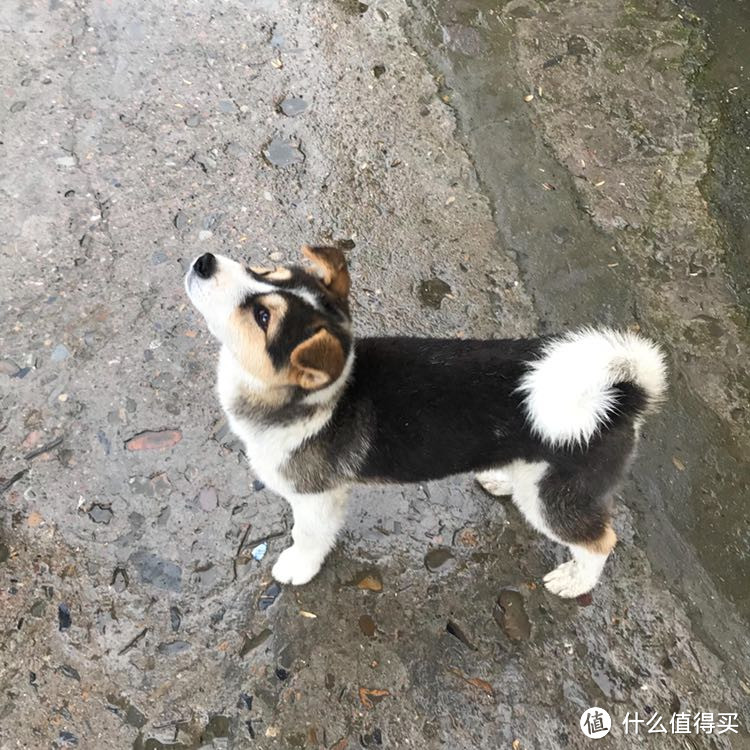 天青色等烟雨—编不出后半句的杭州+千岛湖游记