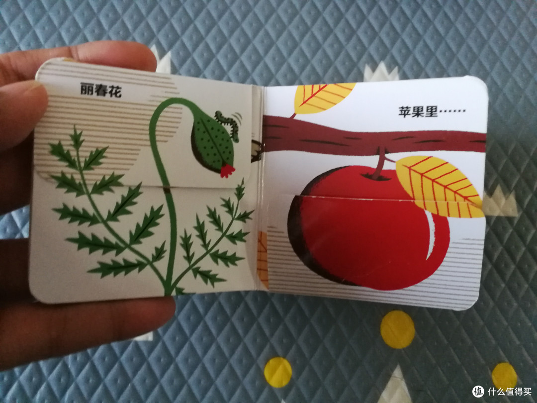 《小手翻翻》,小手大手都爱翻!