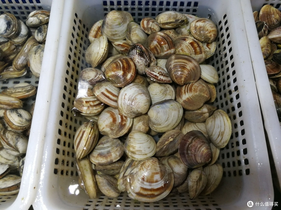 青岛海鲜新吃法,现捞活捉,玩得尽兴,吃得放心