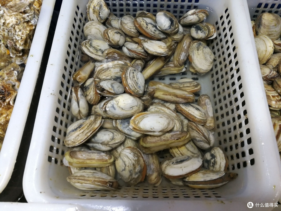 青岛海鲜新吃法,现捞活捉,玩得尽兴,吃得放心