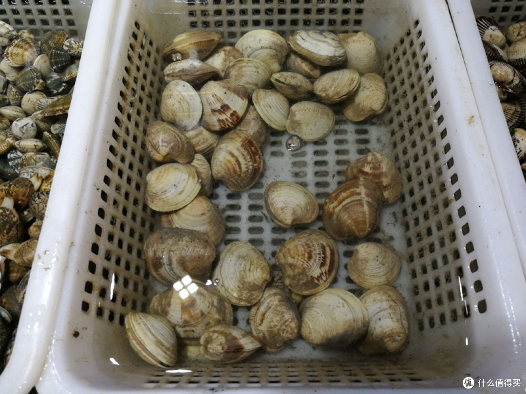 青岛海鲜新吃法,现捞活捉,玩得尽兴,吃得放心