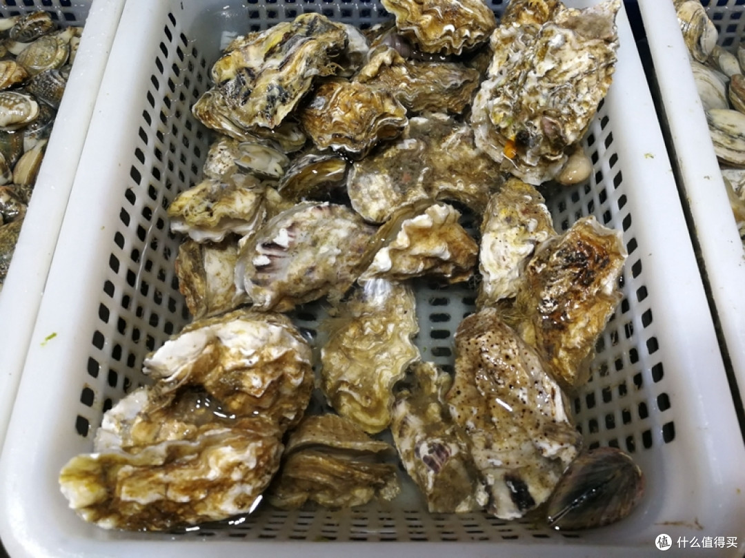 青岛海鲜新吃法,现捞活捉,玩得尽兴,吃得放心