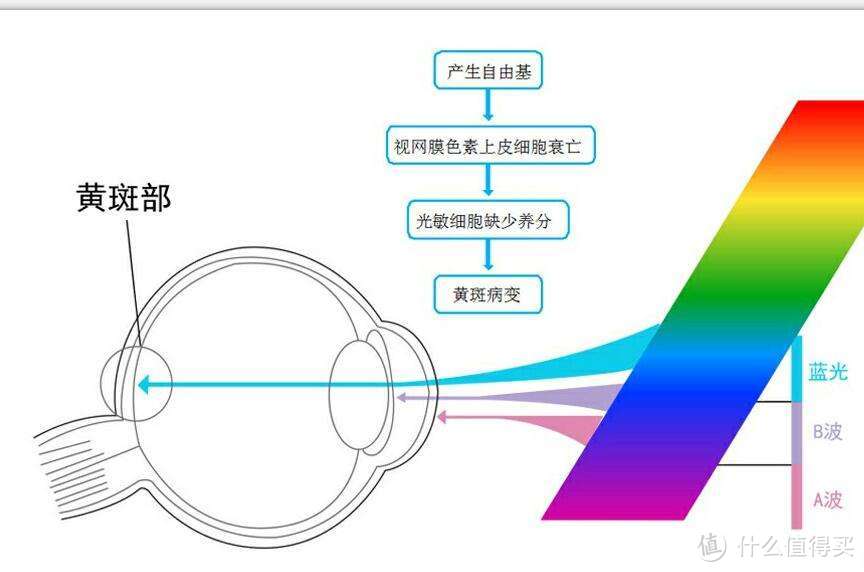 如果你爱你的眼睛，那么这篇文章你应该戳进来看看