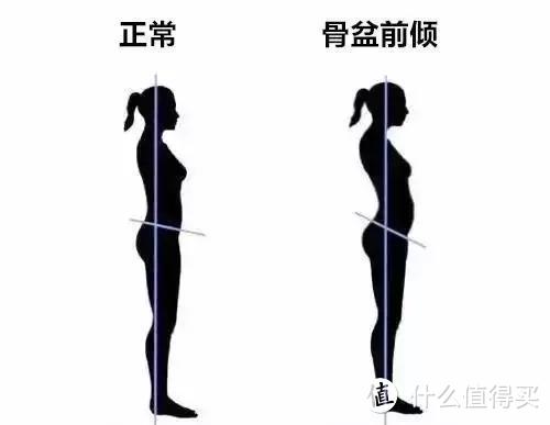 大的就一定是美臀么？真假翘臀检测，附赠真人美臀教程！