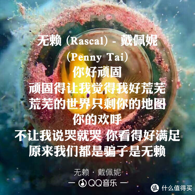 写歌的人假正经，听歌的人最无情—盘点华语乐坛才女歌手！明明可以靠脸吃饭，偏偏要靠才华