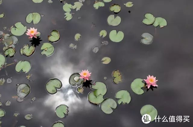 看过那么多版本的台湾攻略，但这些景点你还真不一定有去过