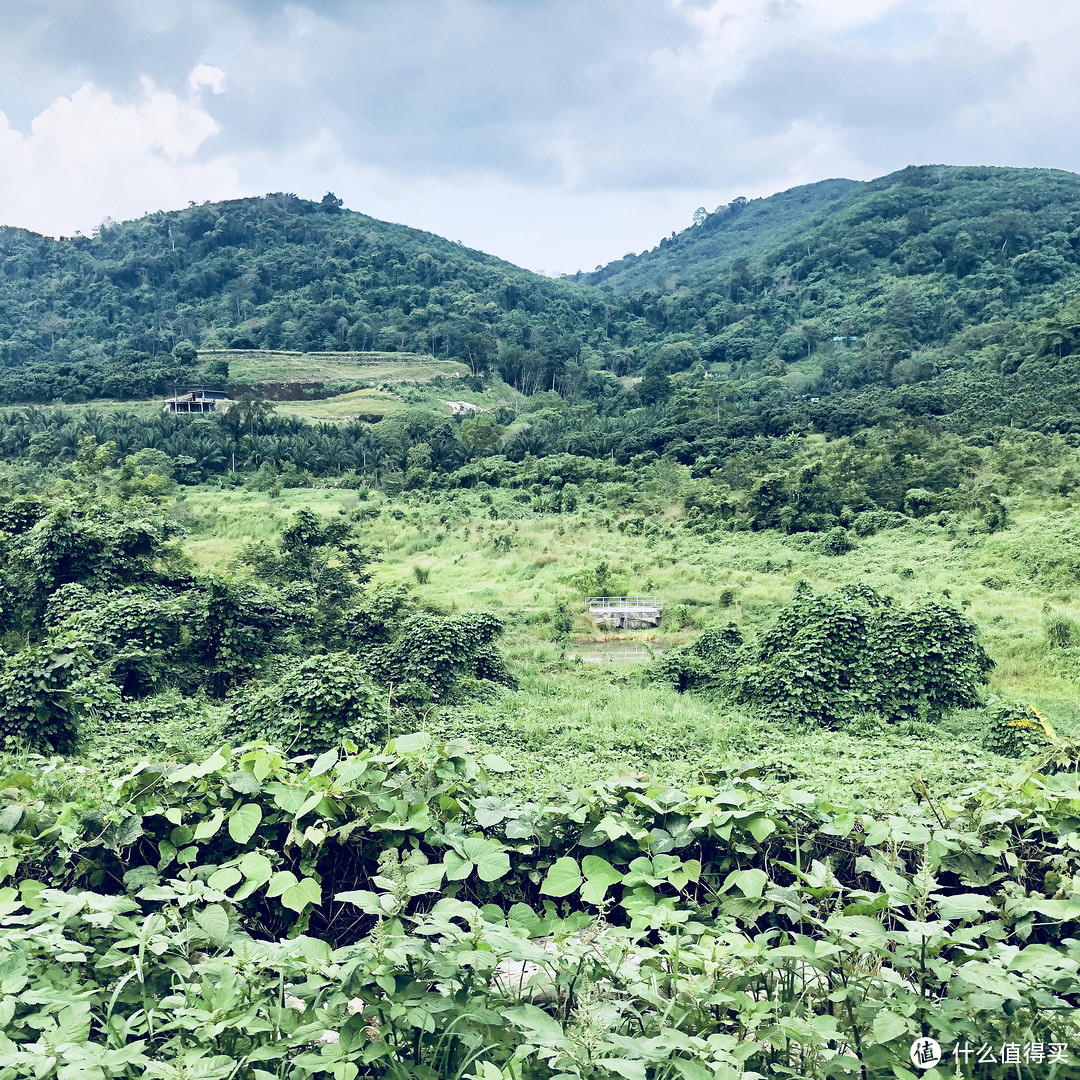 山里风景果然不错