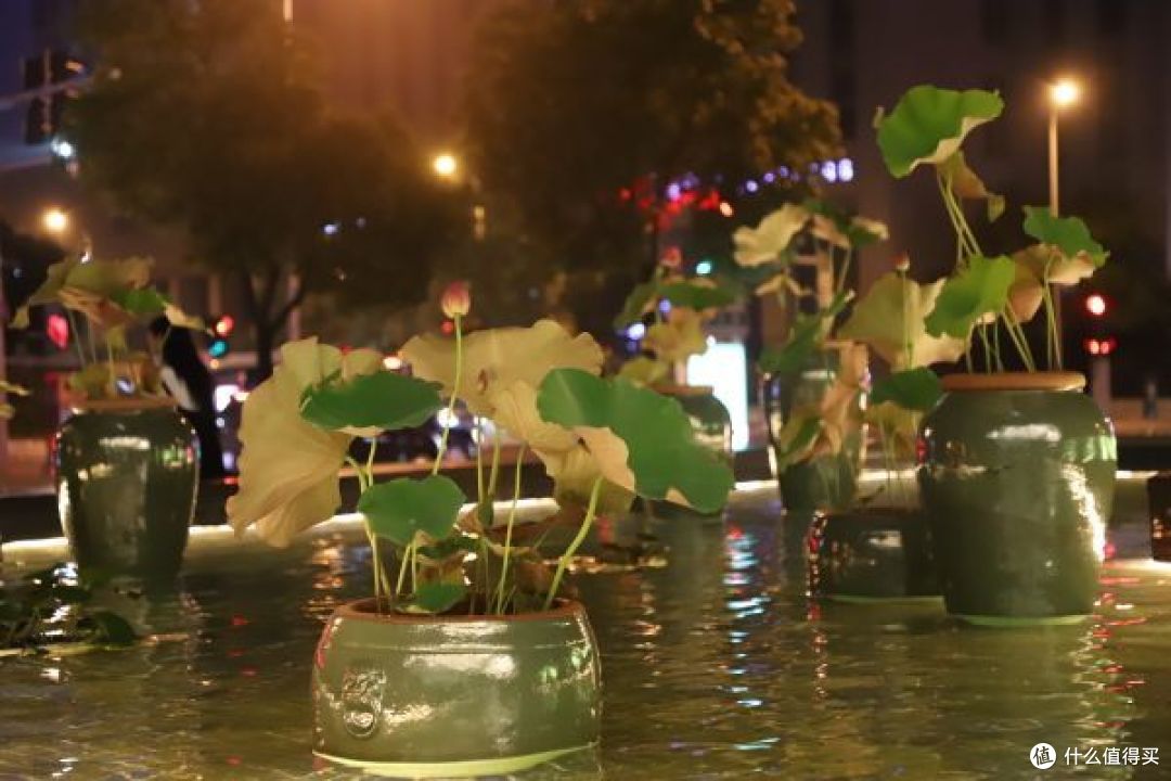 短游宁波,不妨试试泛太平洋Pan Pacific 酒店