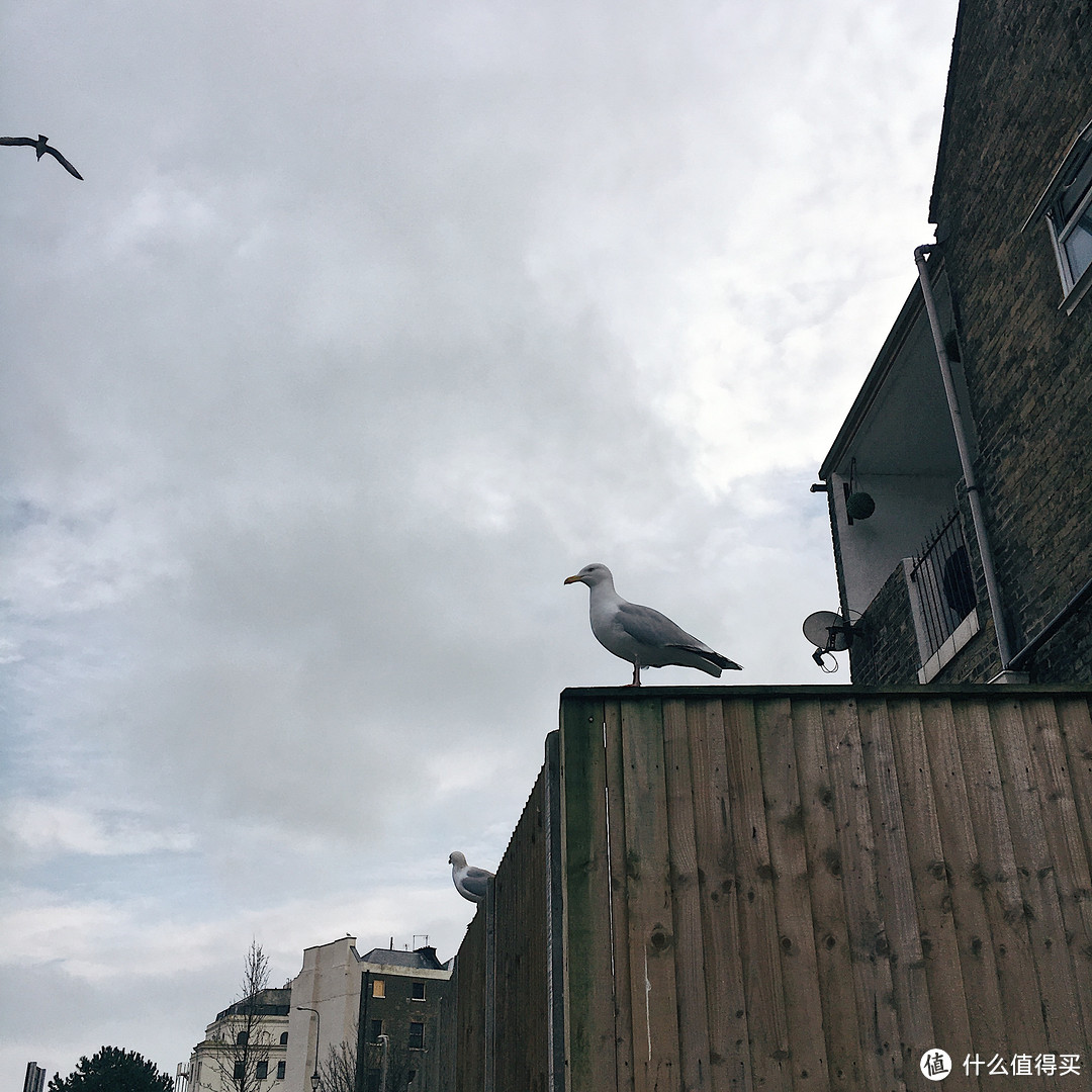 在「英国」海港小城住几天是什么体验？