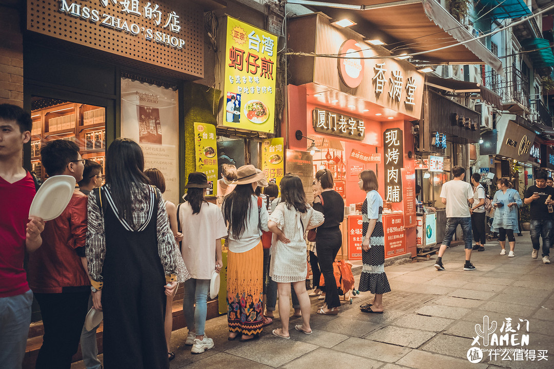 很多人来过厦门，却错过了仙人掌