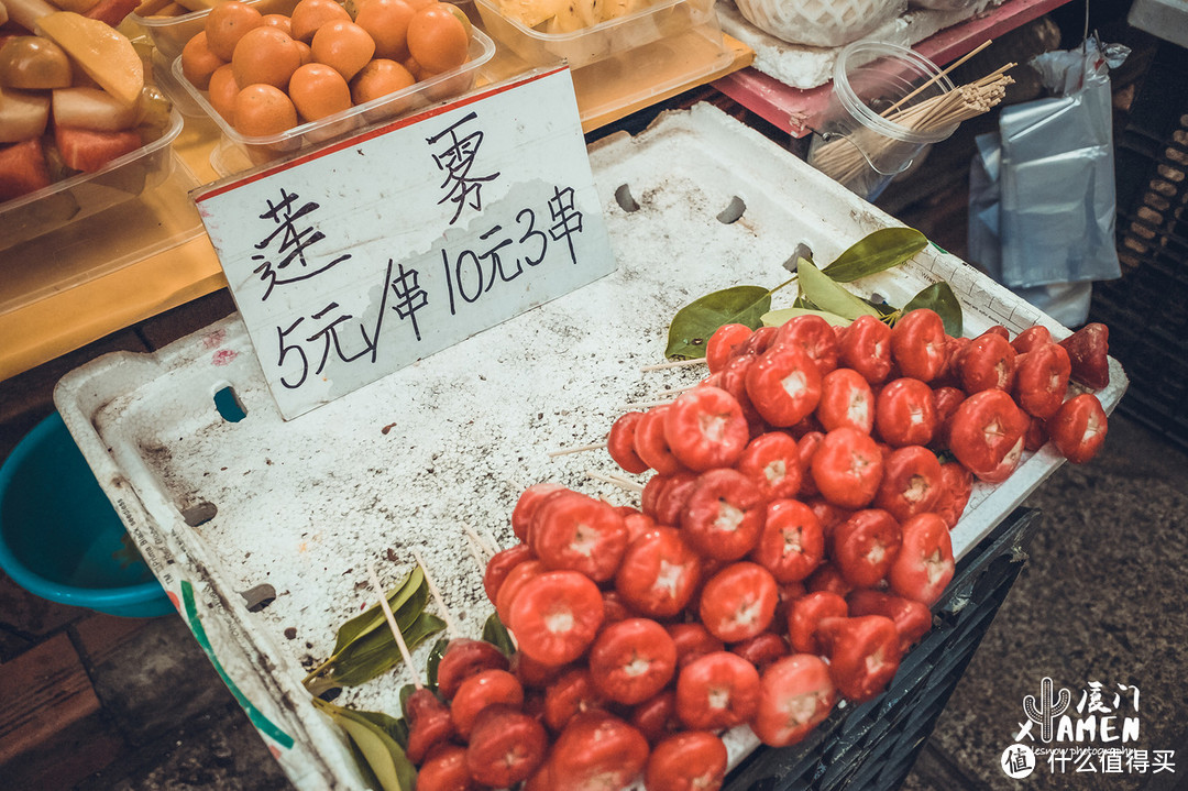 很多人来过厦门，却错过了仙人掌